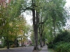 P1010240.JPG